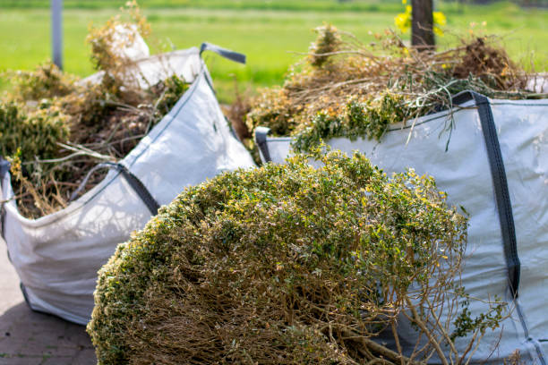 Best Moving and Downsizing Cleanouts  in Litchfield Park, AZ